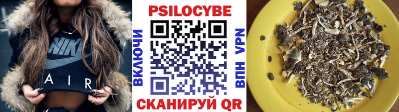 купить наркотики сайты  Торжок  Псилоцибиновые грибы ЛСД 